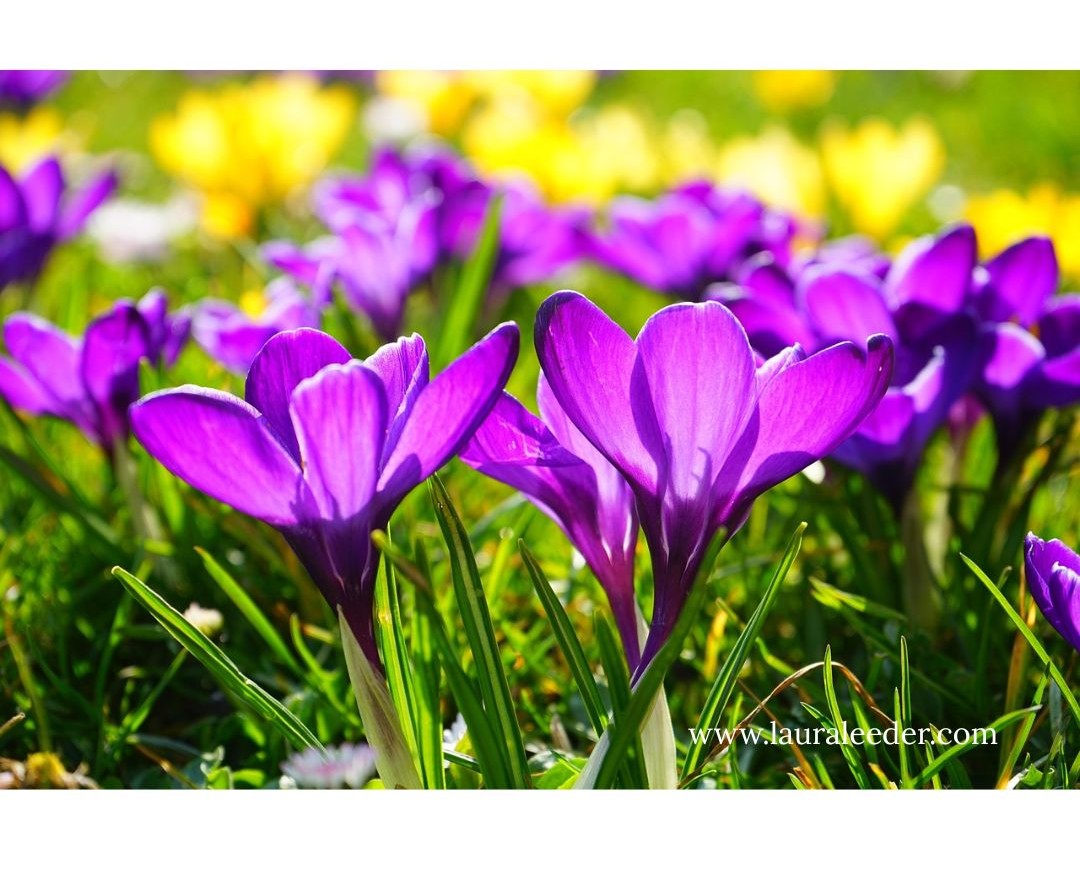 Where Small Ideas Begin