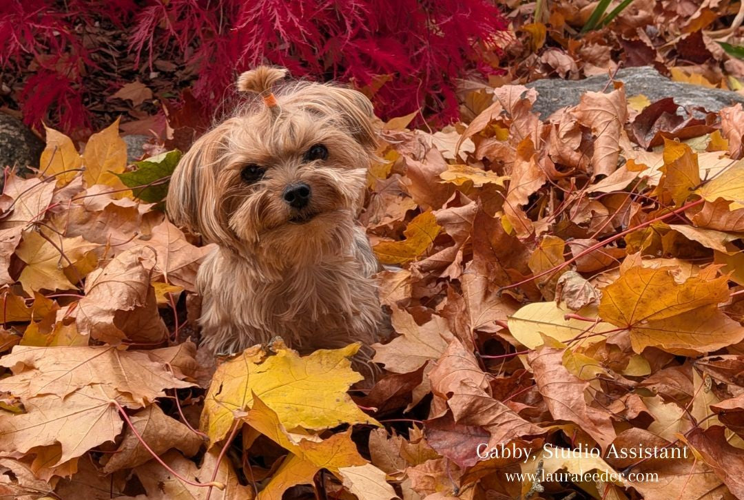 Gathering Autumn's Little Pleasures — From Garden to Home