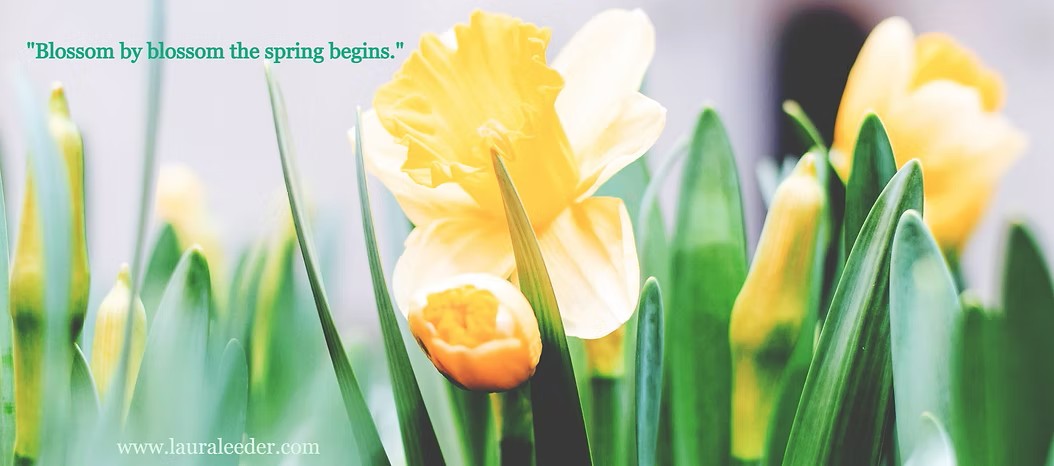 Celebrate Spring with Cheerful Art and a Cozy Soup Recipe