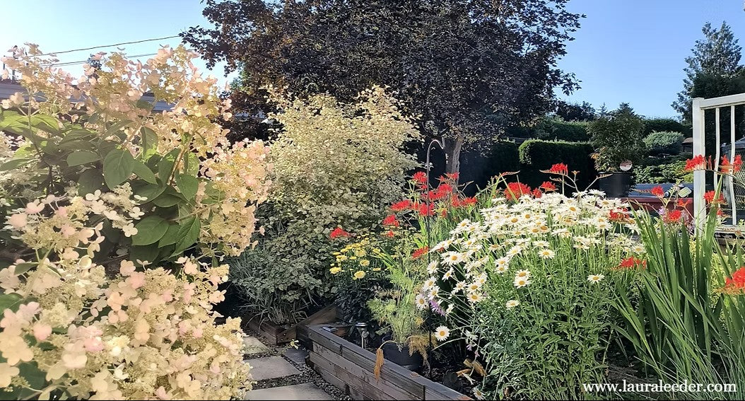 Slow Summer, Self-Care & Studio Return