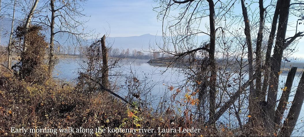 🌿Listening to the Whispers of Change: Nurturing New Creative Seeds