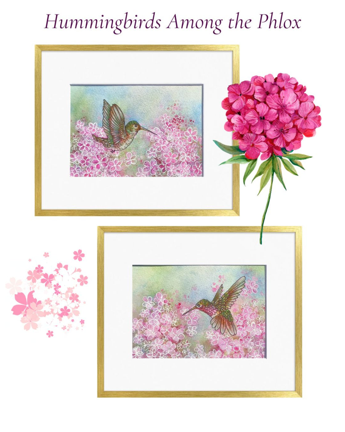 Hummingbirds Among the Phlox (SET of Two 5"x7" Paintings)