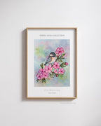 Cherry Blossom Song – Chickadee & Blossoms Fine Art Print | Spring Song Collection