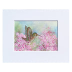 Phlox and Feathers 5"x7" Female Hummingbird Painting